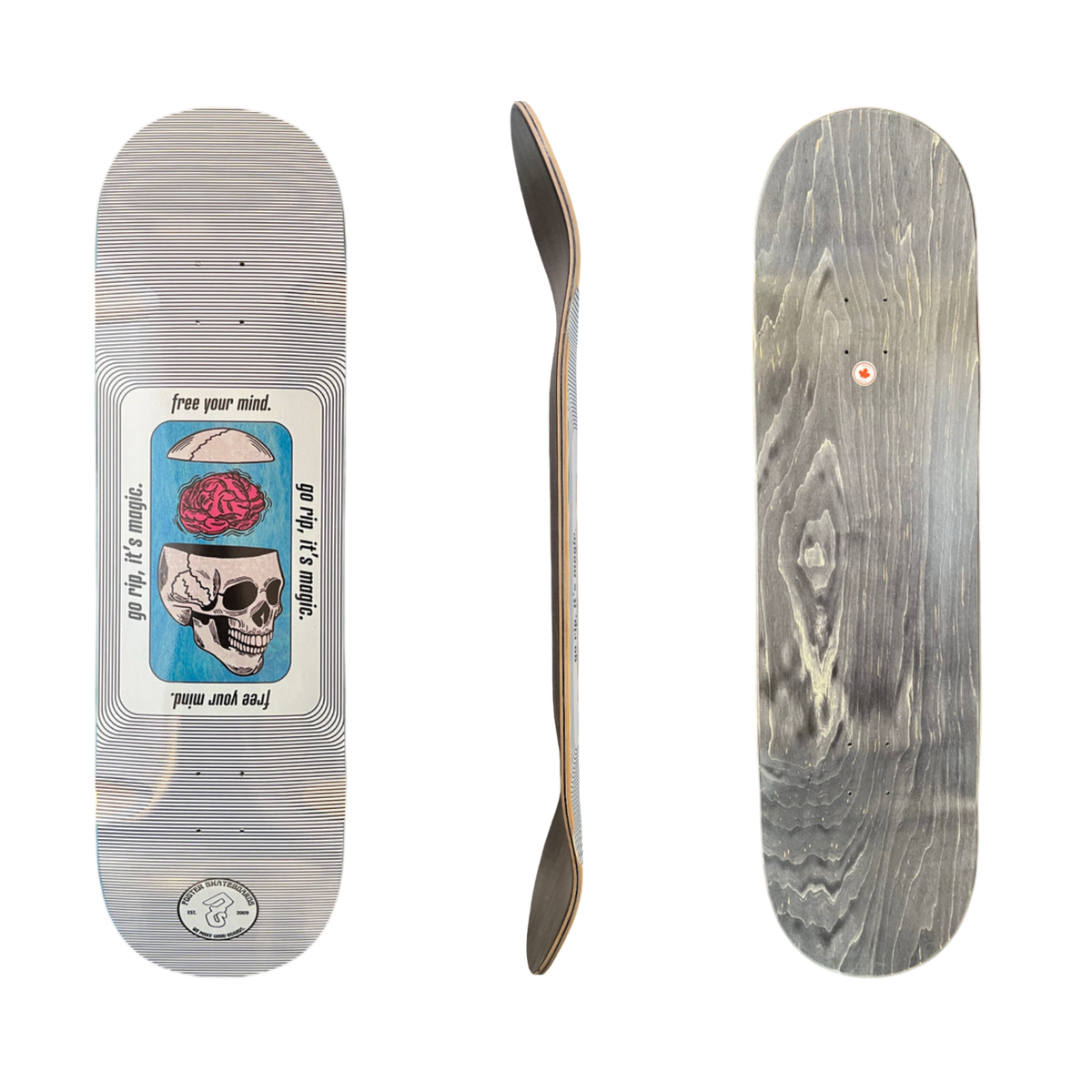 Foster: 9.5" Big Pop Skateboard Deck