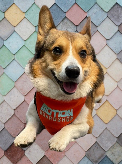 Motion Furry Friends Bandana - Motion Boardshop