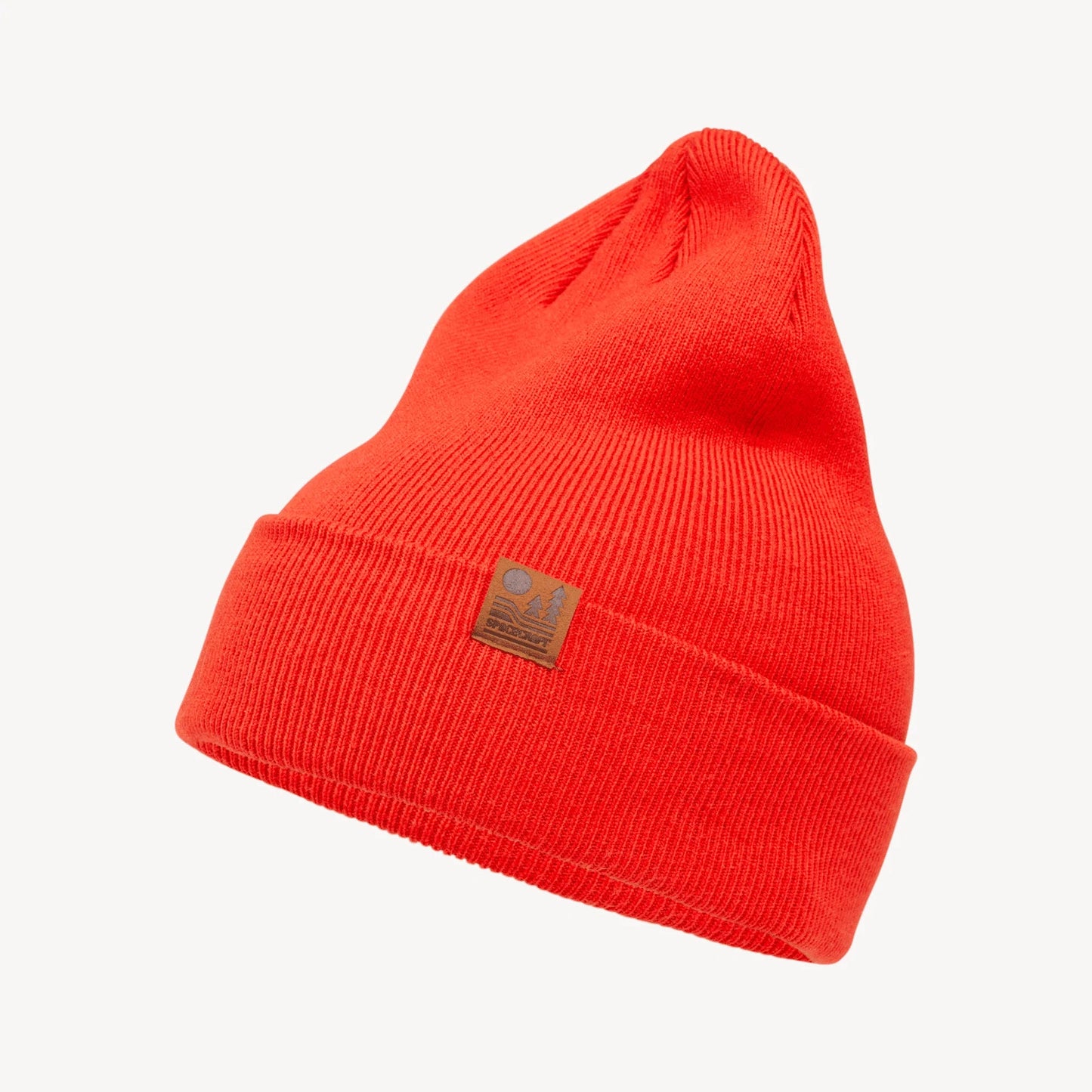 Spacecraft: Otis Beanie - Motion Boardshop