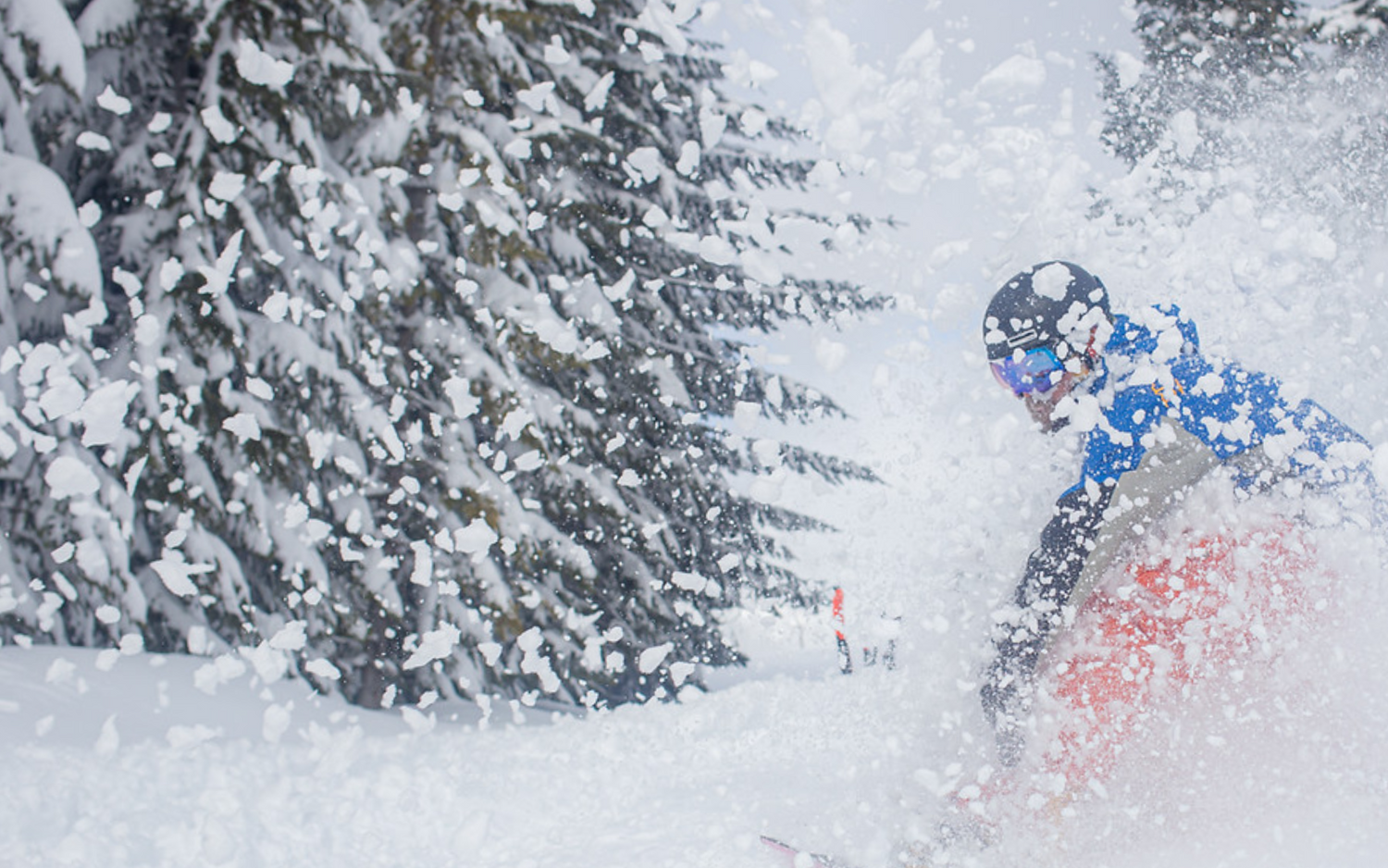 Snowboard Sale