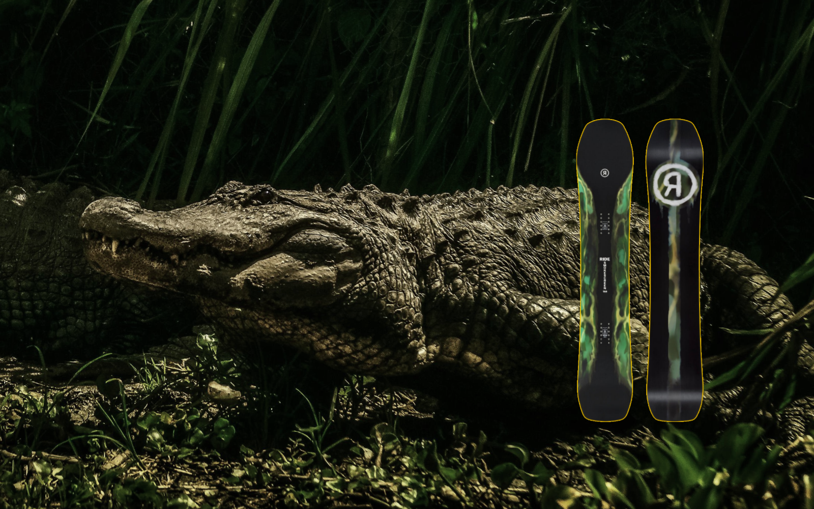 burton crocodile snowboard Blossom True Twin Freedom Twin Shape and flex are perfectly symmetrical for a balanced ride that lets you spin and stomp as you like On The Ground Gear Review