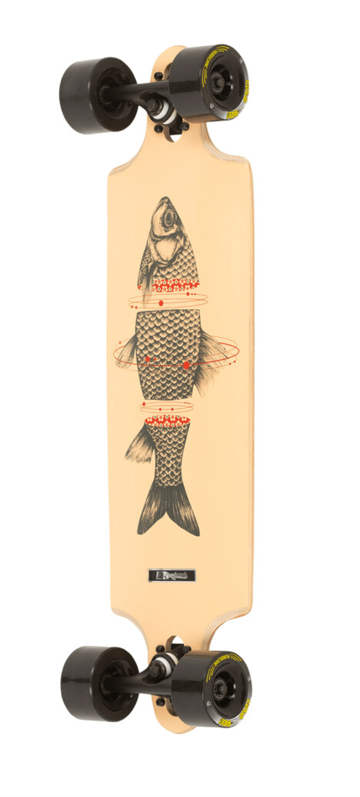 DB: Sashimi 32" Longboard Complete - Motion Boardshop