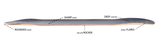 Zenit: Mini Rocket V2 Longboard Skateboard Deck - Motion Boardshop